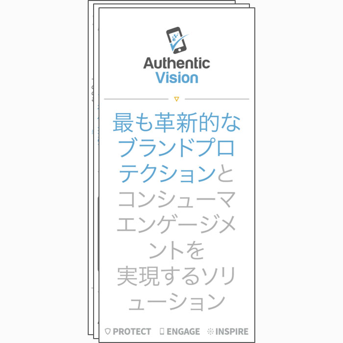 Authentic Vision Flyer - Japanese