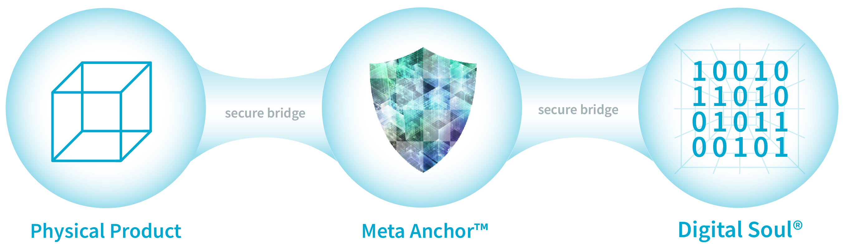 phygital meta anchor